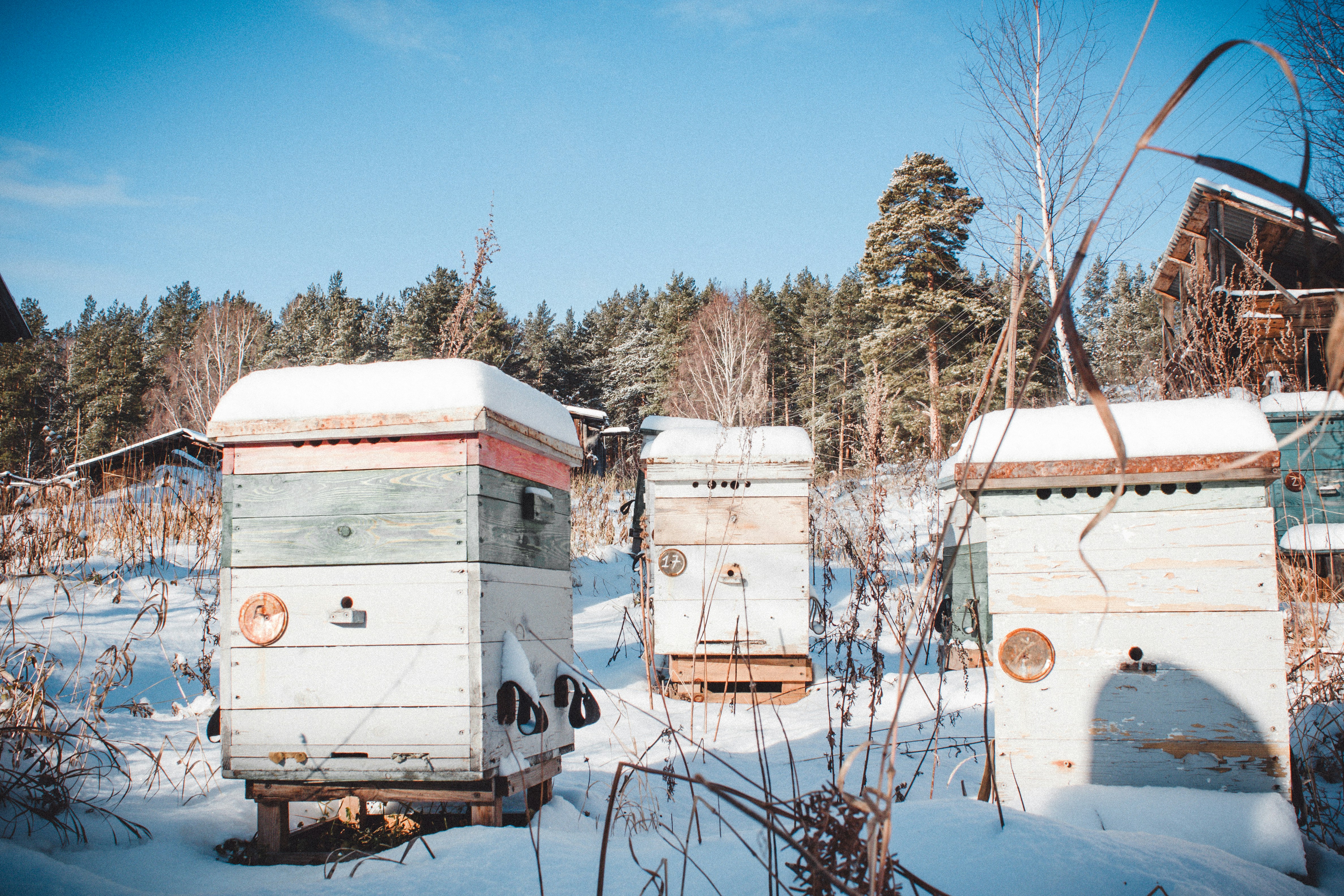 hive-snow hive-snow