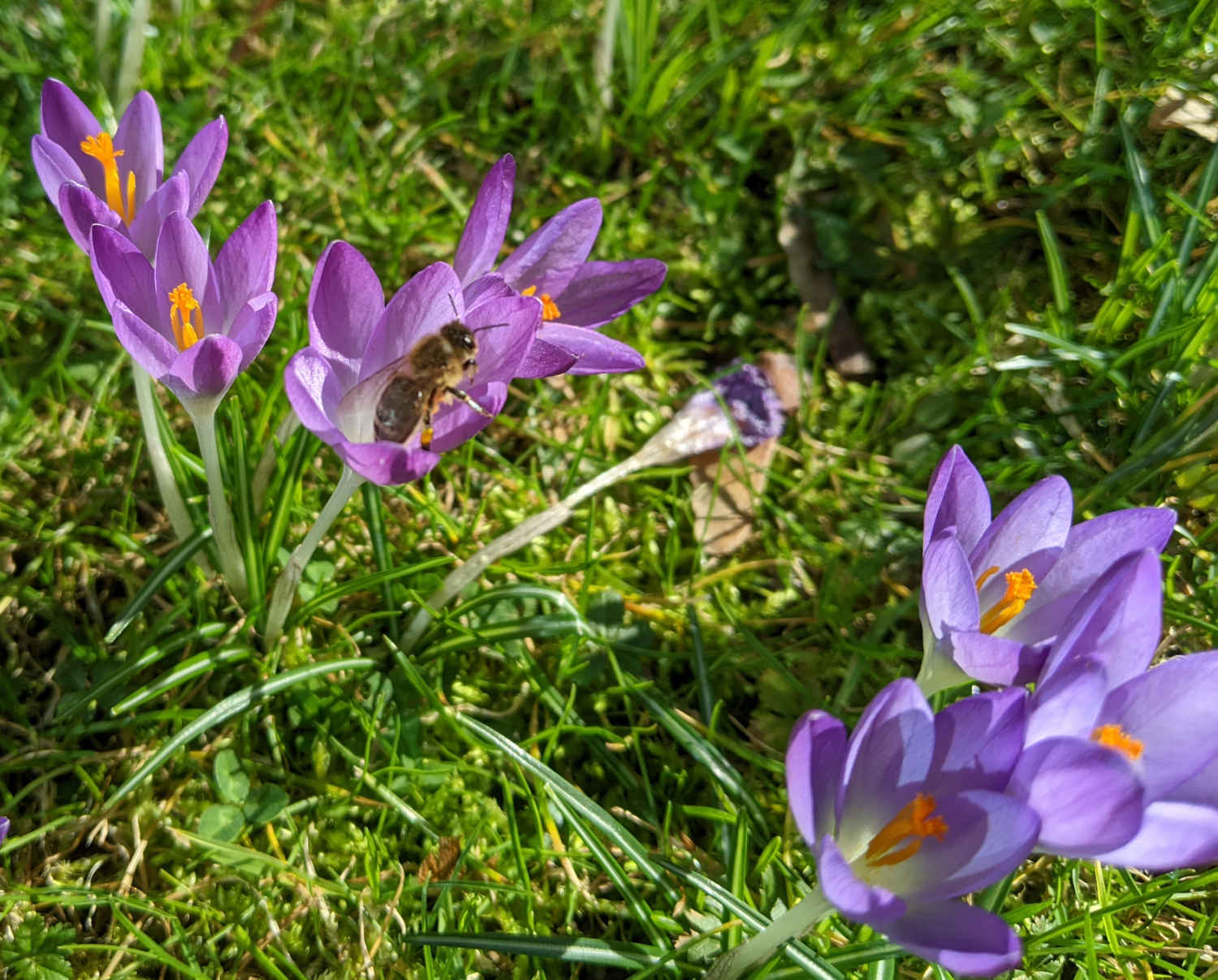 honeylink-blog-7aa34779bd34