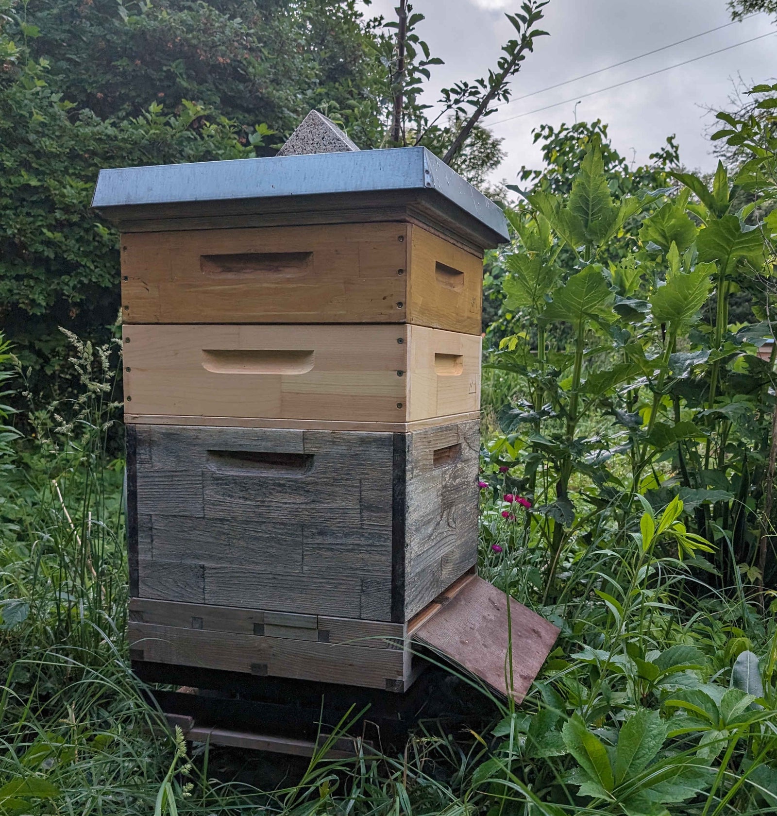 honeylink-blog-4b15fe500c2c